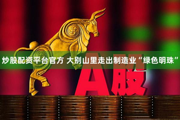 炒股配资平台官方 大别山里走出制造业“绿色明珠”