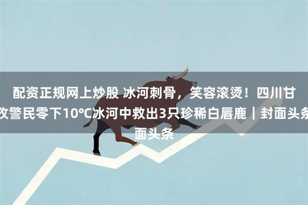 配资正规网上炒股 冰河刺骨，笑容滚烫！四川甘孜警民零下10℃冰河中救出3只珍稀白唇鹿｜封面头条