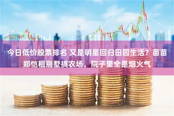 今日低价股票排名 又是明星回归田园生活？苗苗郑恺租别墅搞农场，院子里全是烟火气
